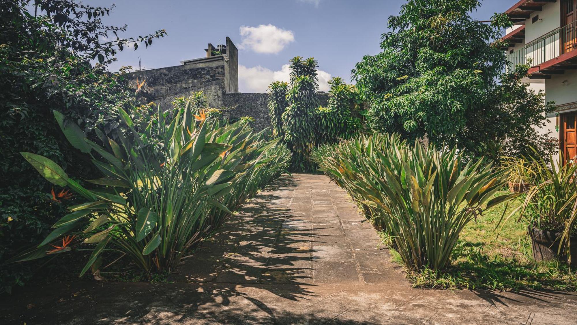 Hotel Montecillo Coatepec  Luaran gambar